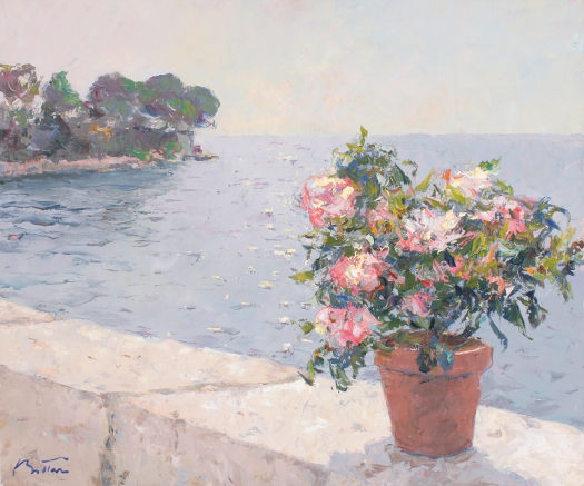 Geraniums on Terrace